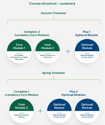 Diagram showing the mandatory and elective AHSSL modules